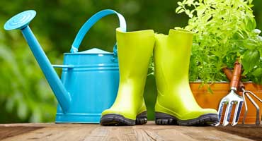 Irrigation & Drainage