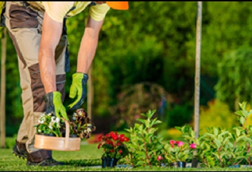 Spring and Fall Cleanup