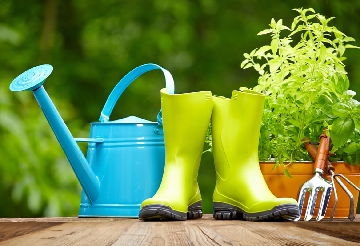 Spring and Fall Cleanup