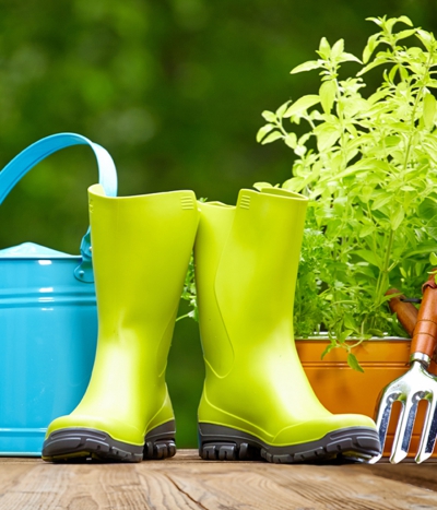 How to Care your Lawn &amp; Landscaping Before Winter?